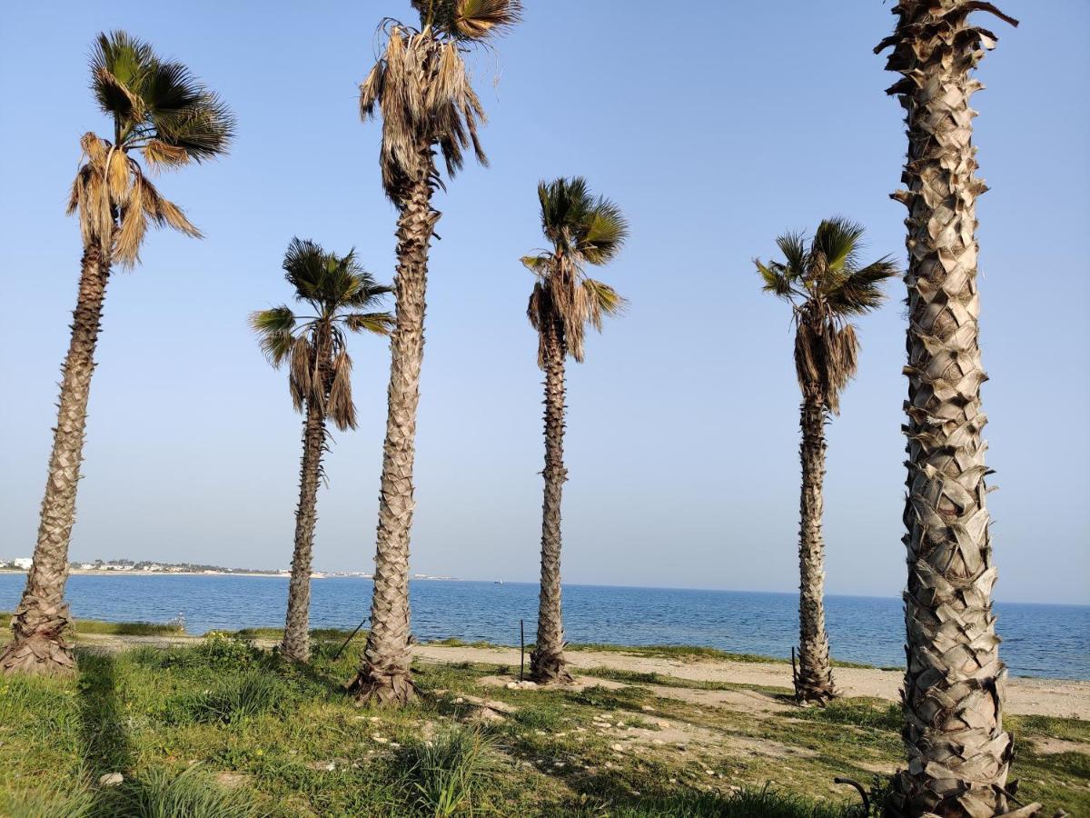 Palm Garden Paradise Perivolia Exterior foto